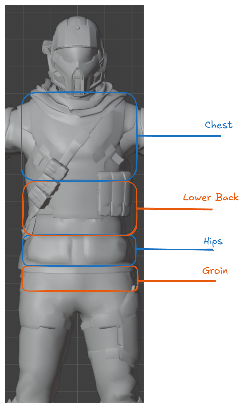 anatomy-torso-preview
