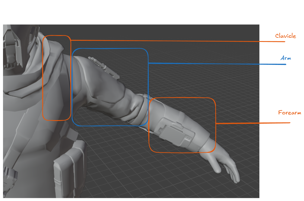 anatomy-arm-preview