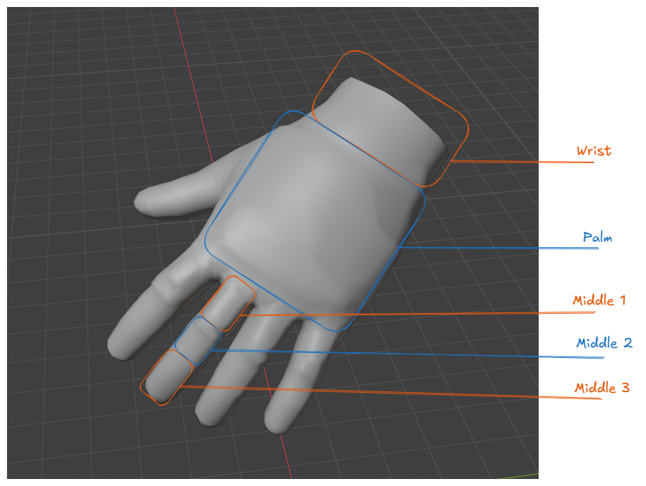 anatomy-hand-preview