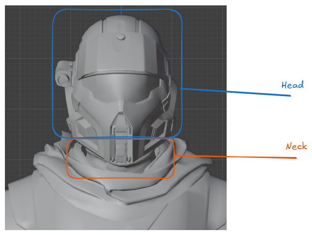 anatomy-head-preview