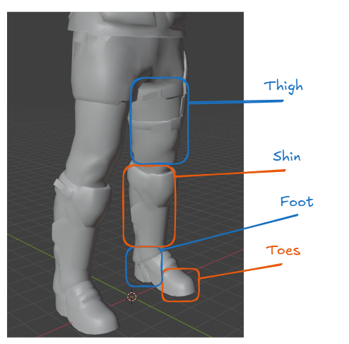 anatomy-legs-preview